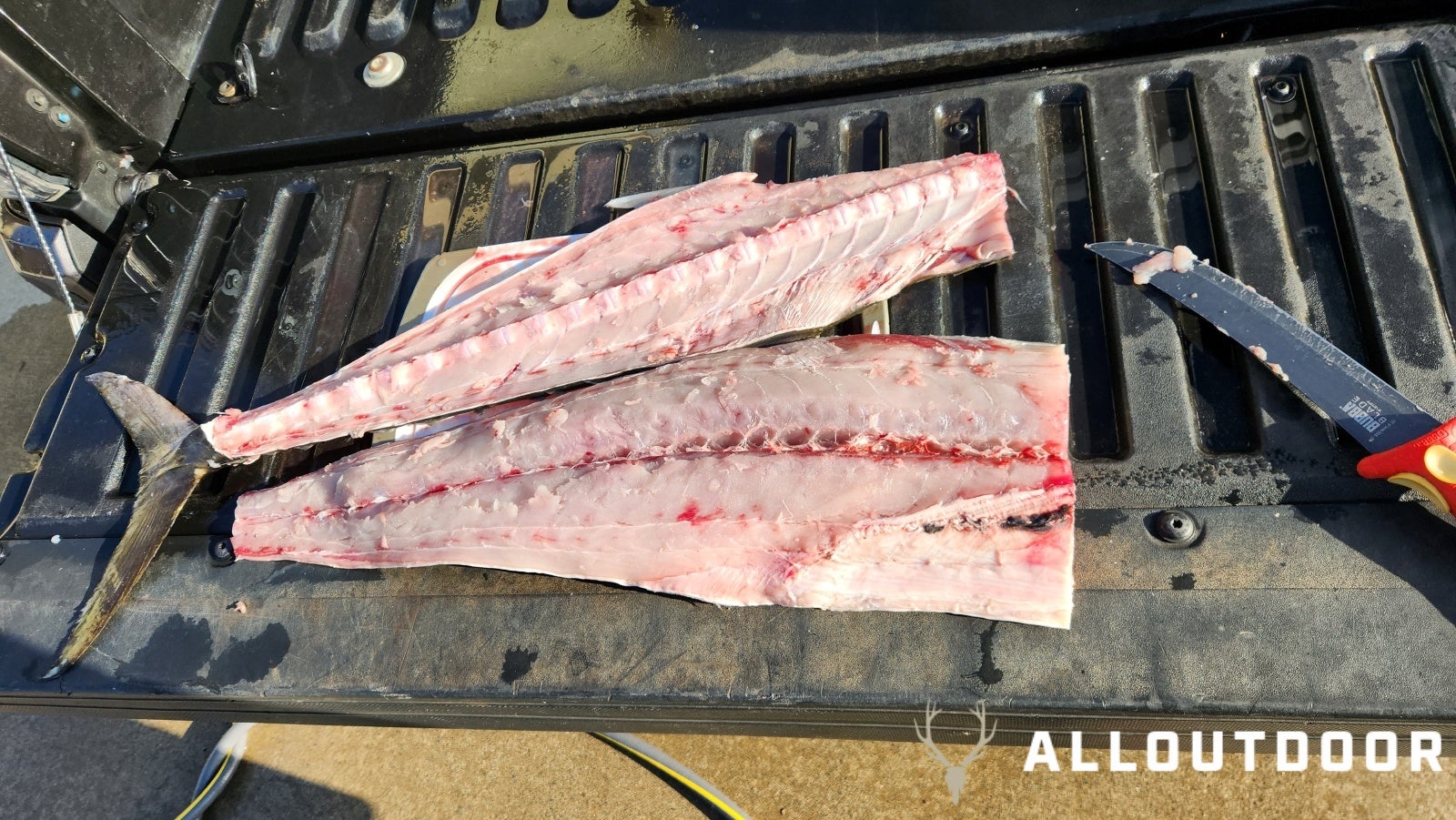 Cook your Catch – Miso King Mackerel