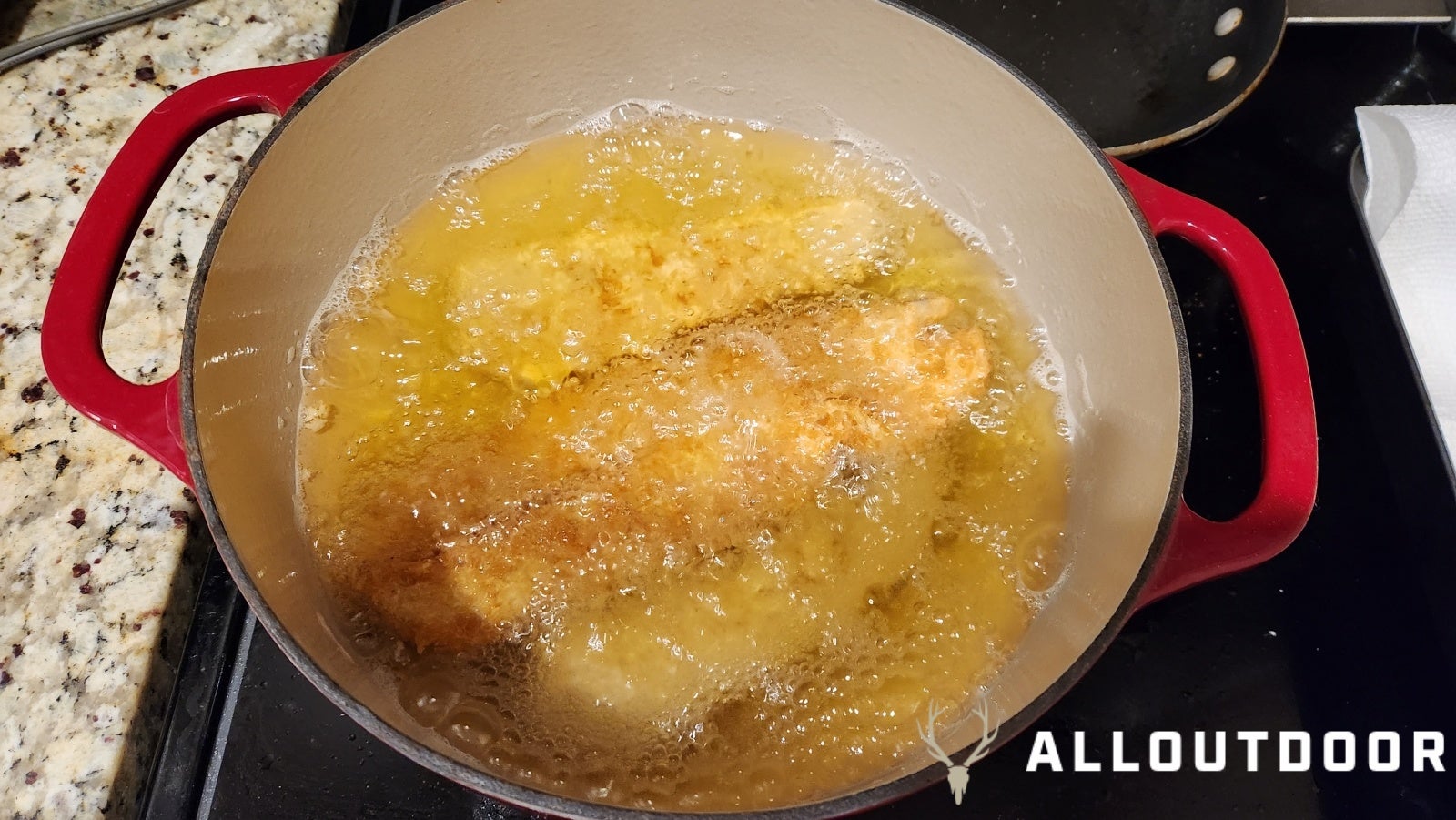 Cook your Catch – Crispy Spanish Mackerel Katsu