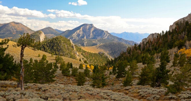 Nevada Wildlife Habitat Gets $1.3 Million Upgrade from RMEF