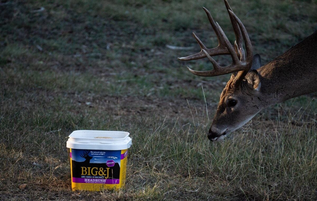 Late Season Deer? Try Big & J Headrush and BB2 Granular Attractants