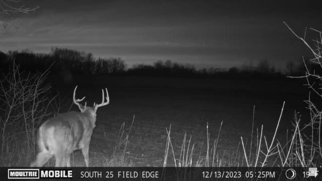 POTD: Moultrie Mobile Edge Pro – Broken Off 9-Point Whitetail Buck