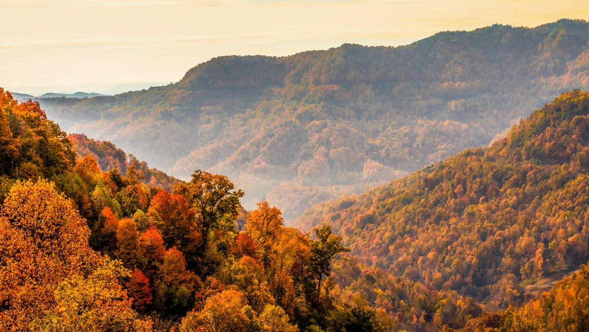 RMEF Achieves Conservation Milestone in Appalachian Elk Country