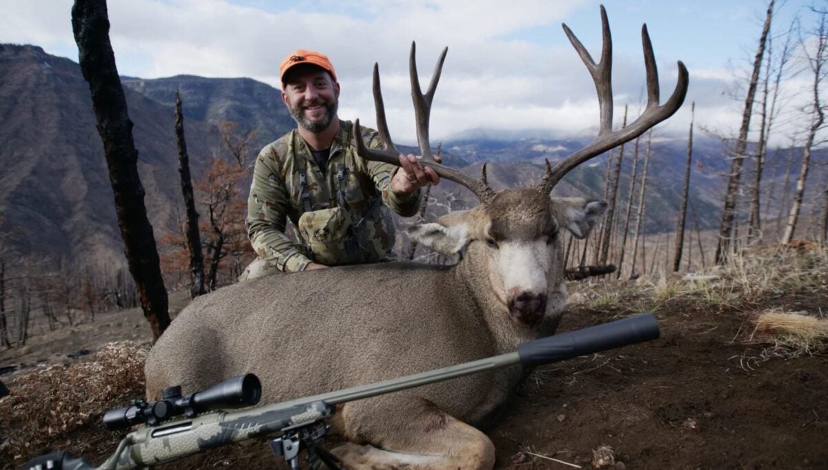 Big-Game Hunting Cartridges: My Top 5 Picks for Harvesting Big-Game Big-Game Hunting Cartridges: My Top 5 Picks for Harvesting Big-Game