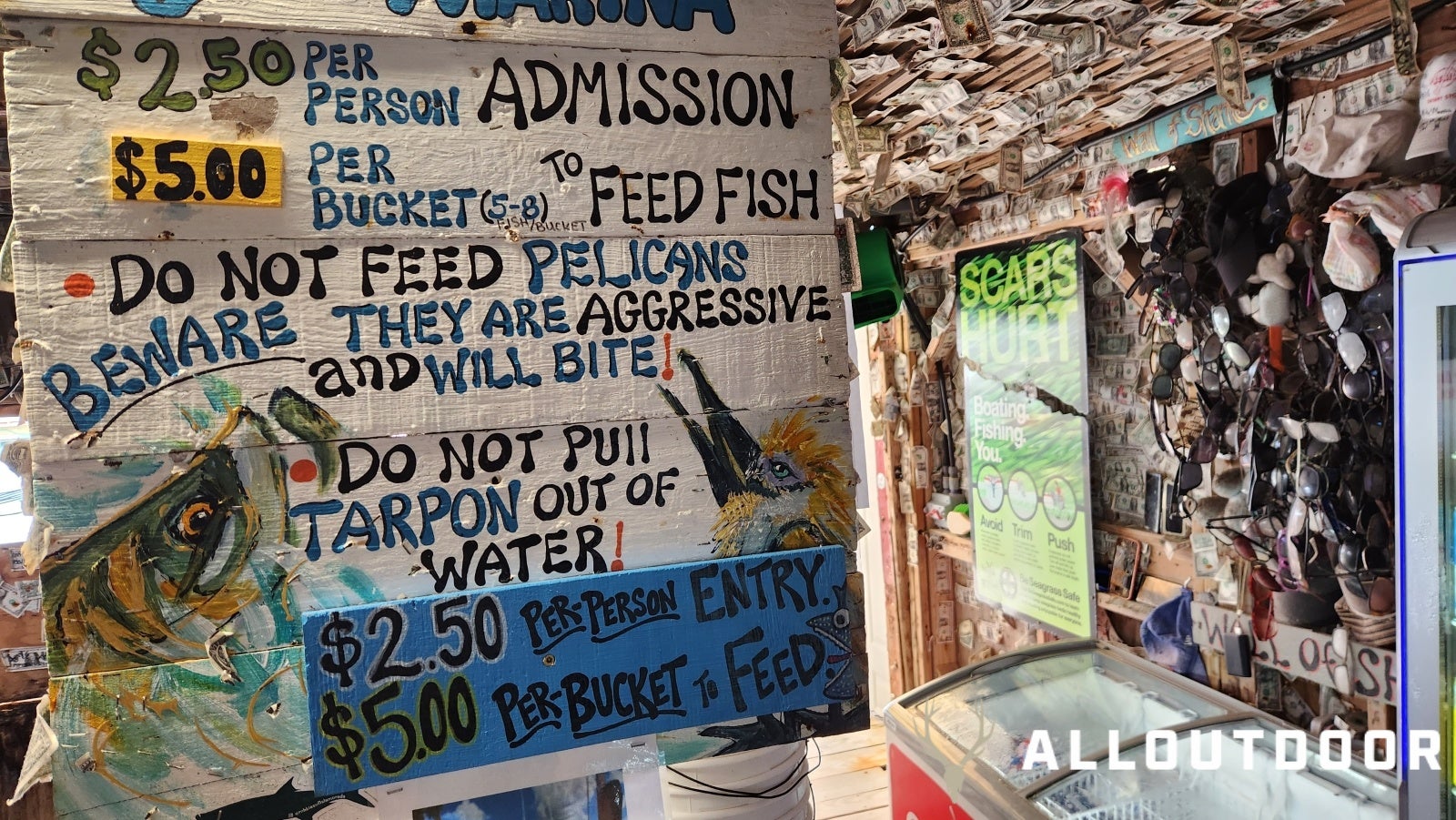 Feeding Tarpon at Robbie's of Islamorada