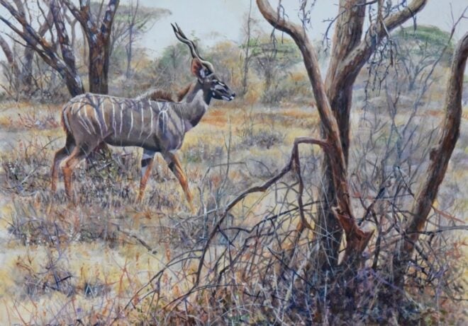 Peter Blackwell: Art and Conservation Inspired by African Wildlife