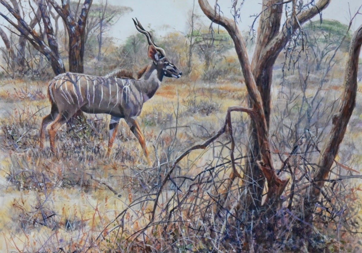 Peter Blackwell: Art and Conservation Inspired by African Wildlife Peter Blackwell: Art and Conservation Inspired by African Wildlife