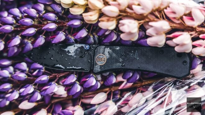 AllOutdoor Review: WE Knife Co Banter – “Best Blade for $100?”