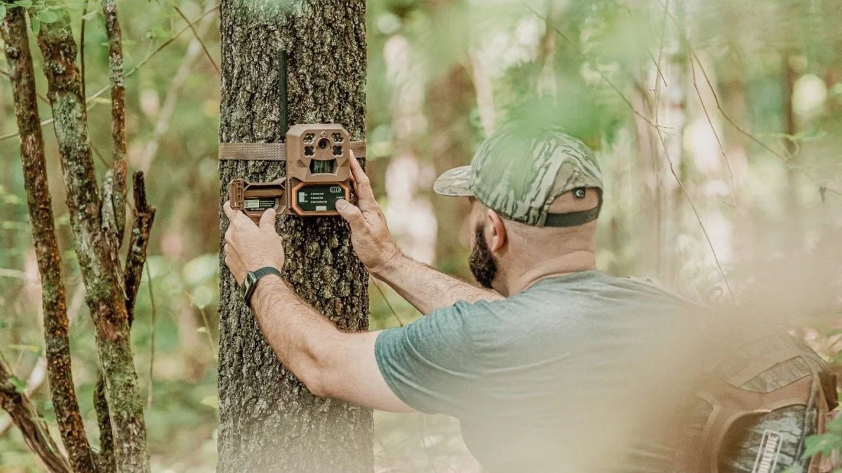 Bagging Big Antlers: Tips for Hunting Elusive Bucks