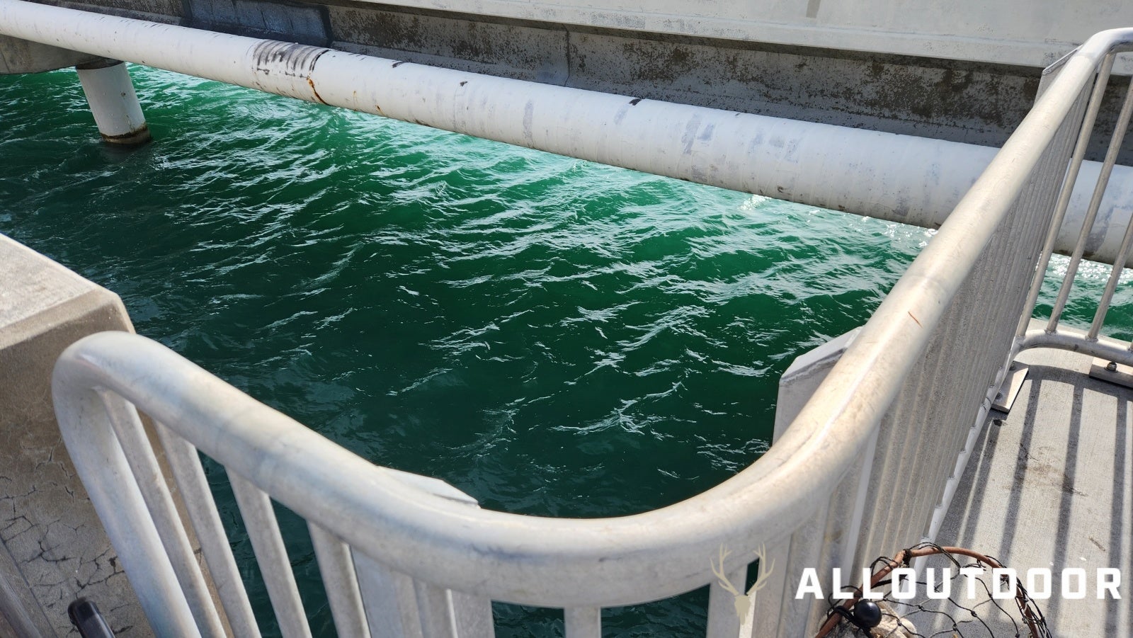 Quick Fishing Trip to Channel 2 Bridge in Islamorada