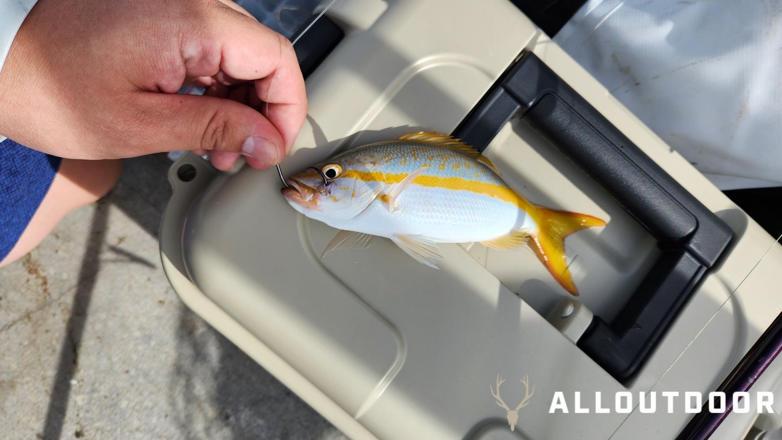 Quick Fishing Trip to Channel 2 Bridge in Islamorada