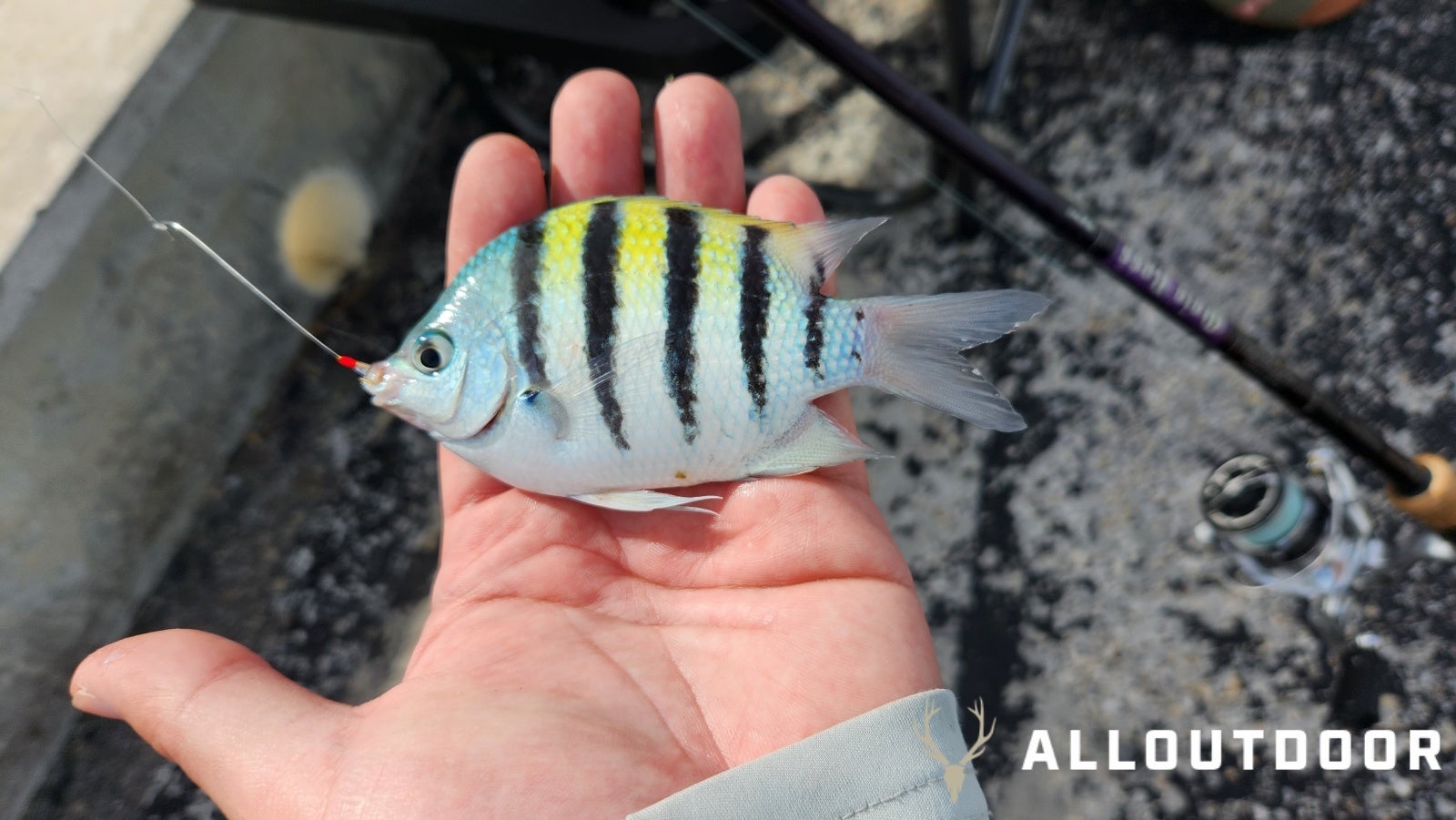 Quick Fishing Trip to Channel 2 Bridge in Islamorada