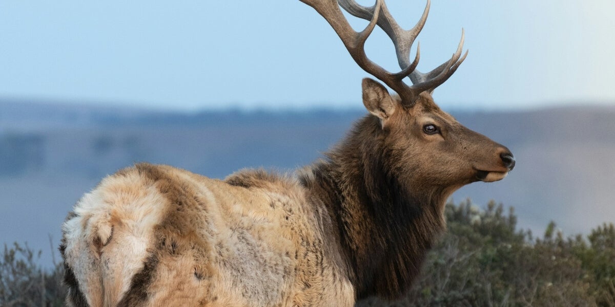 5 Lesser-Known Hunting Hot Spots in the United States