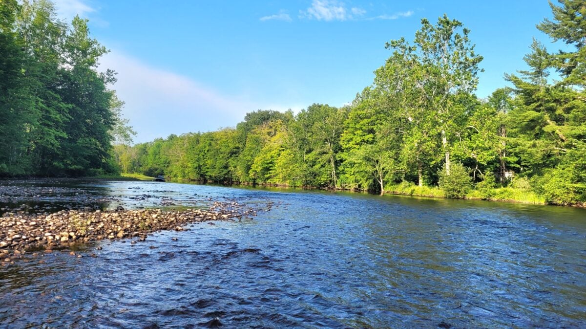 Connecting Youngsters to Conservation, One Kicknet at a Time