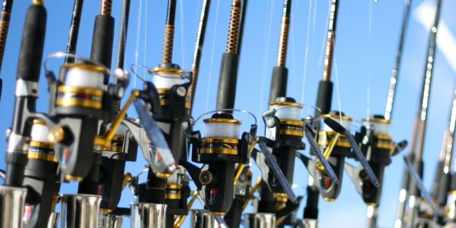 Preparing for a Deep-Sea Fishing Charter: 5 Important Pointers