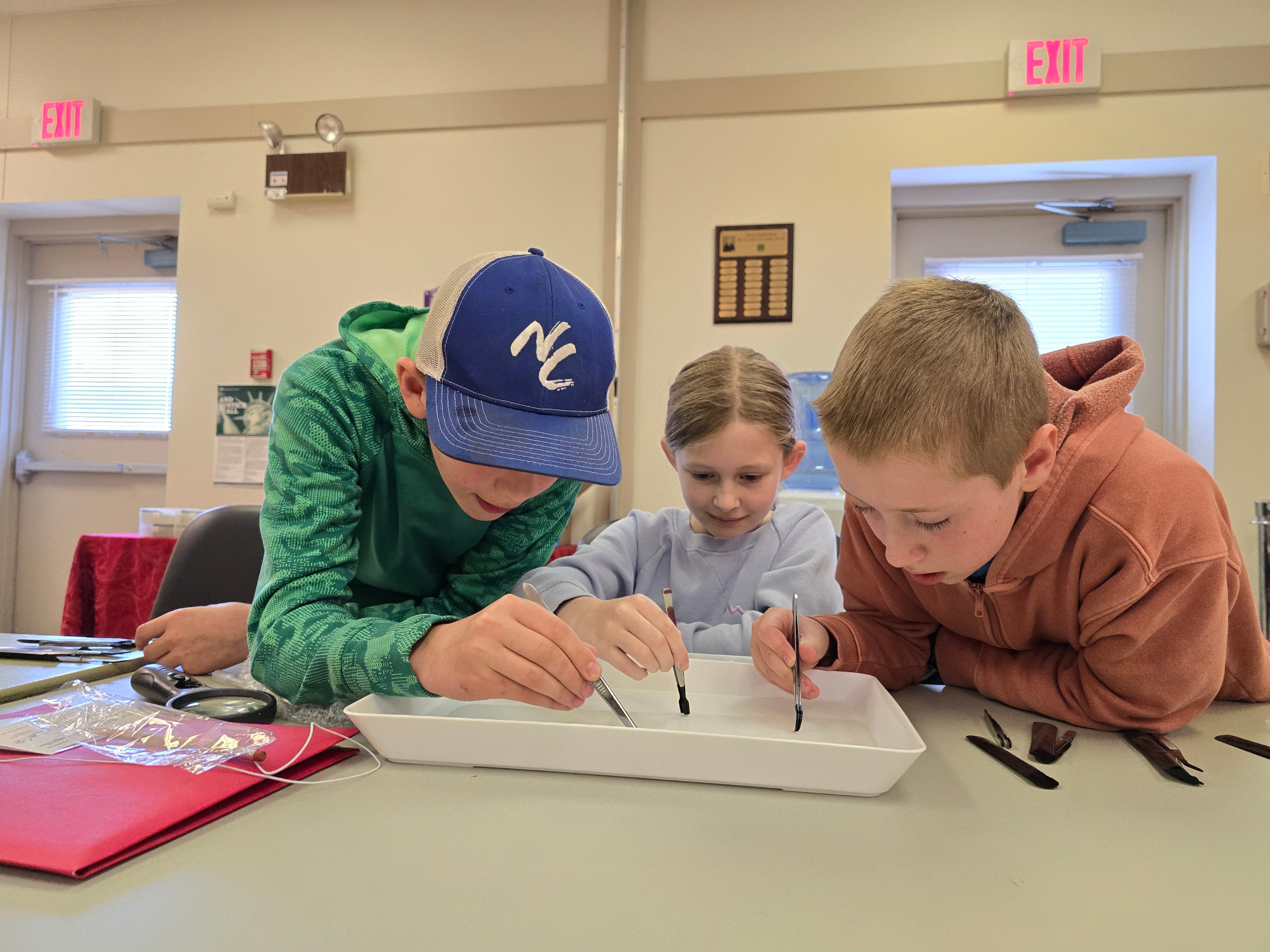 "Pond and Stream Safari Curriculum" Teaches Youth about Stream Life