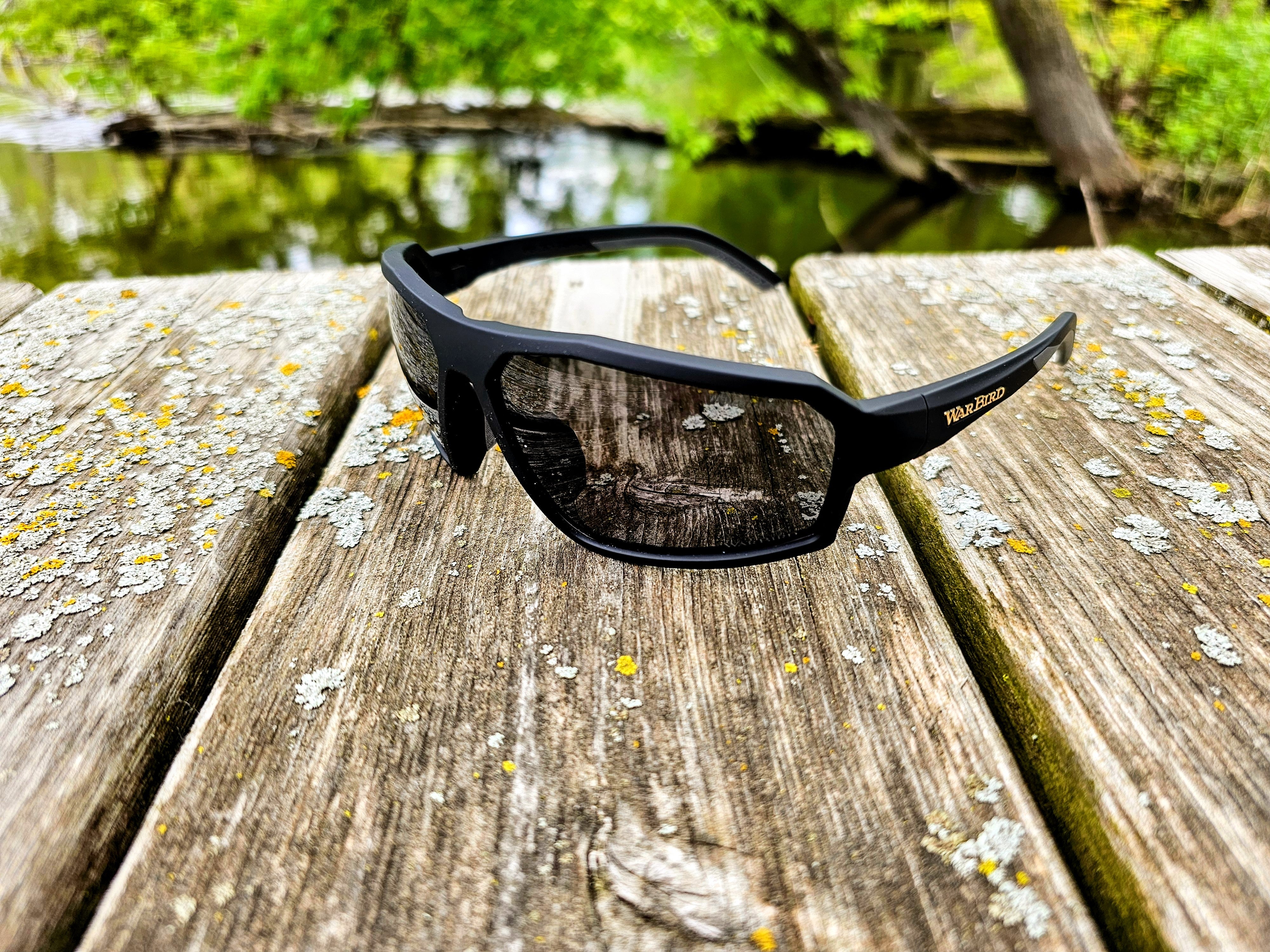 AO Review: WarBird Sleeper Cell - Matte Black Frame, Smoke HC Lens