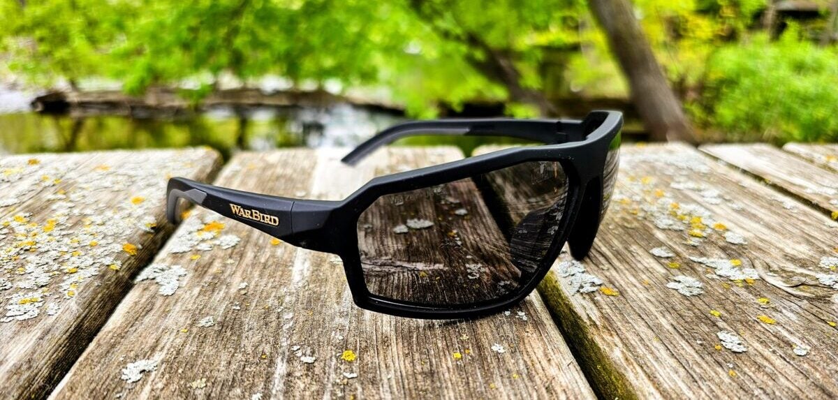 AO Review: WarBird Sleeper Cell - Matte Black Frame, Smoke HC Lens