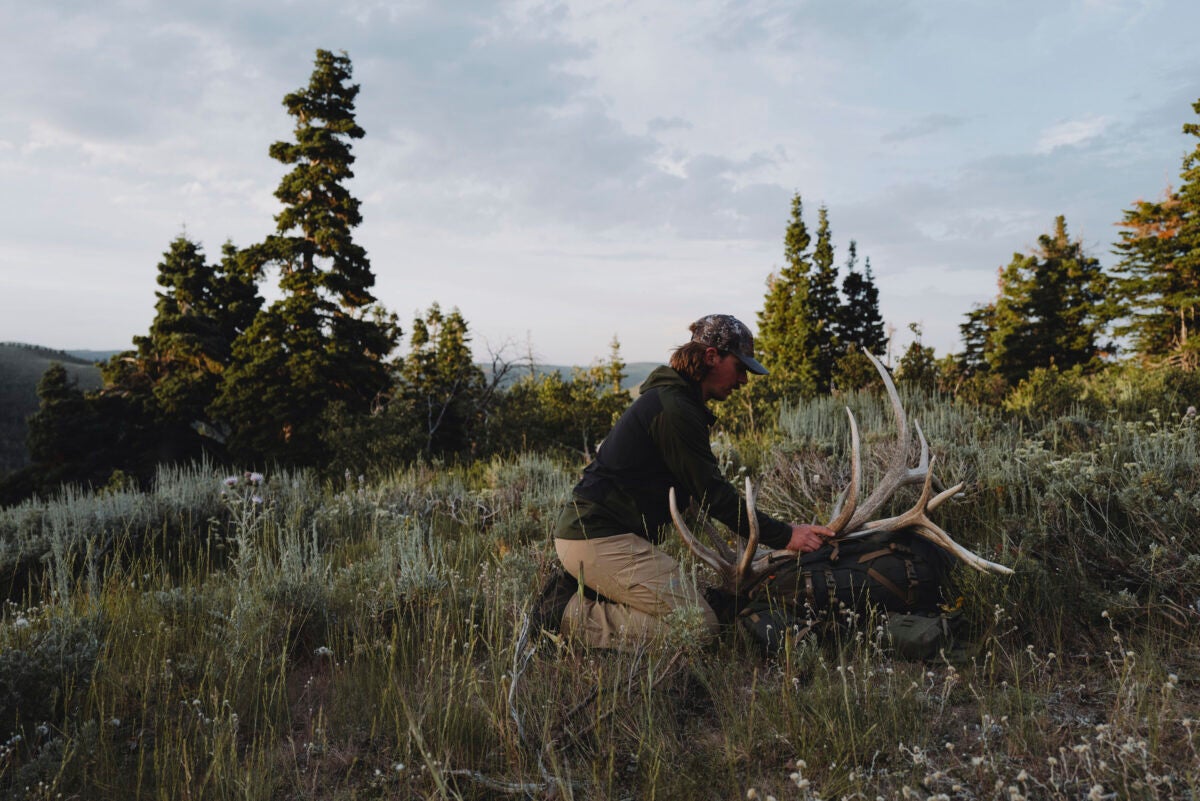 SITKA Mountain Hauler Collection Adds Deep Lichen Colorway in 2 Sizes