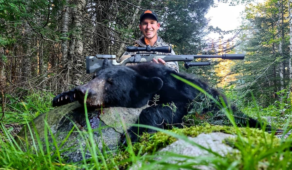 How Fast Do Black Bears Run? Speed Facts and Information How Fast Do Black Bears Run? Speed Facts and Information