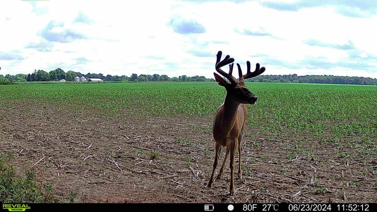 Reveal Pro 3.0 and Reveal X 3.0 lead the way for Tactacam 3.0 Generation