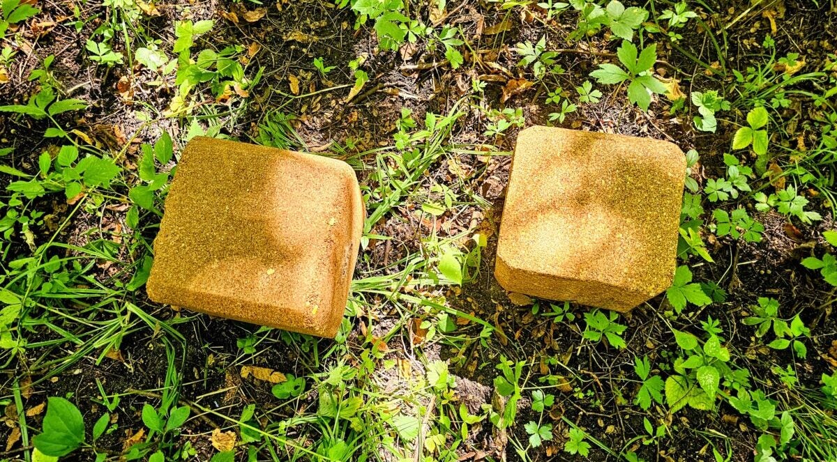 AO Review: Big & J Long Range Attractants - Bone Collector Block & Cube