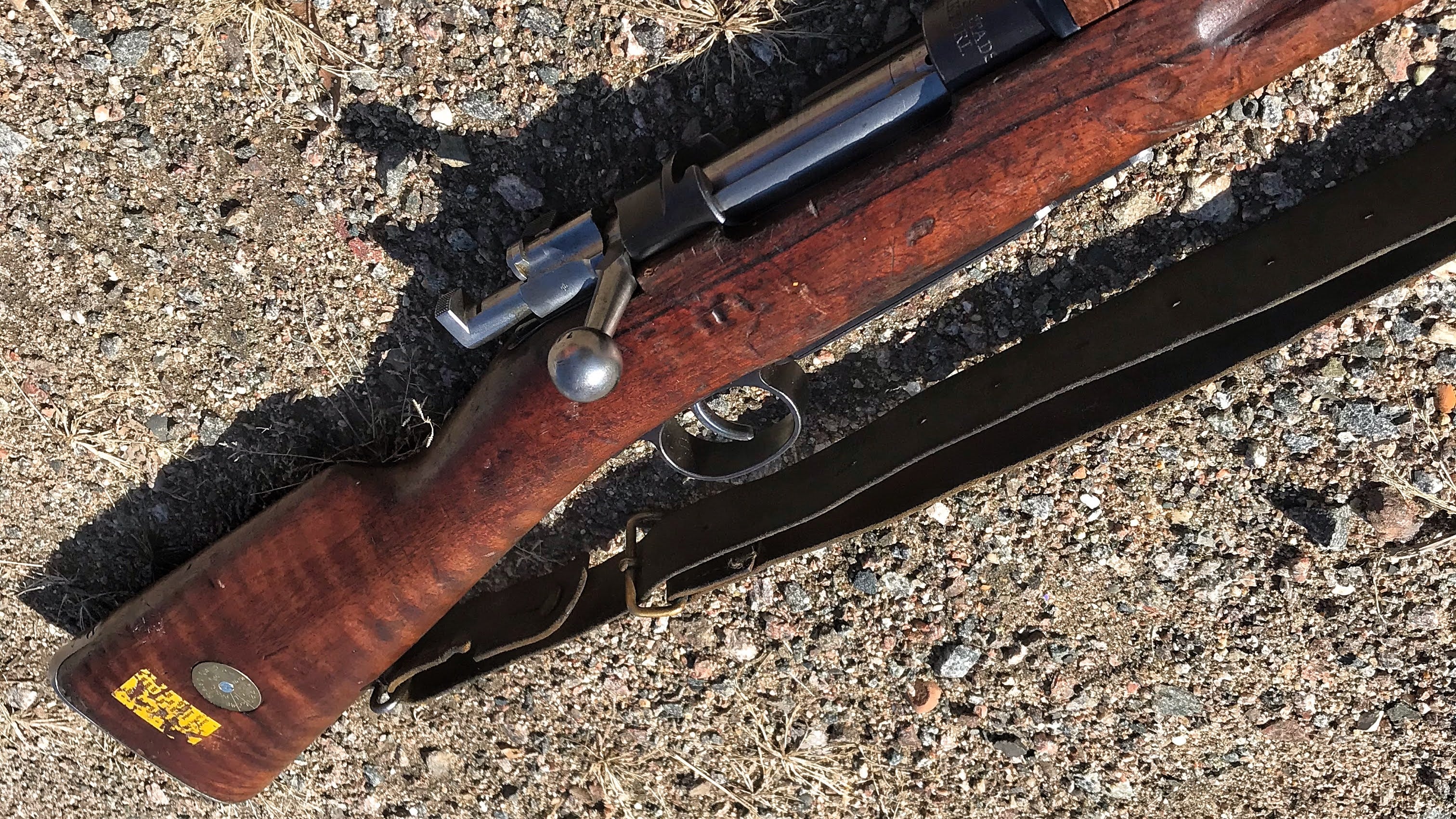 Best Rifles for Deer Hunting