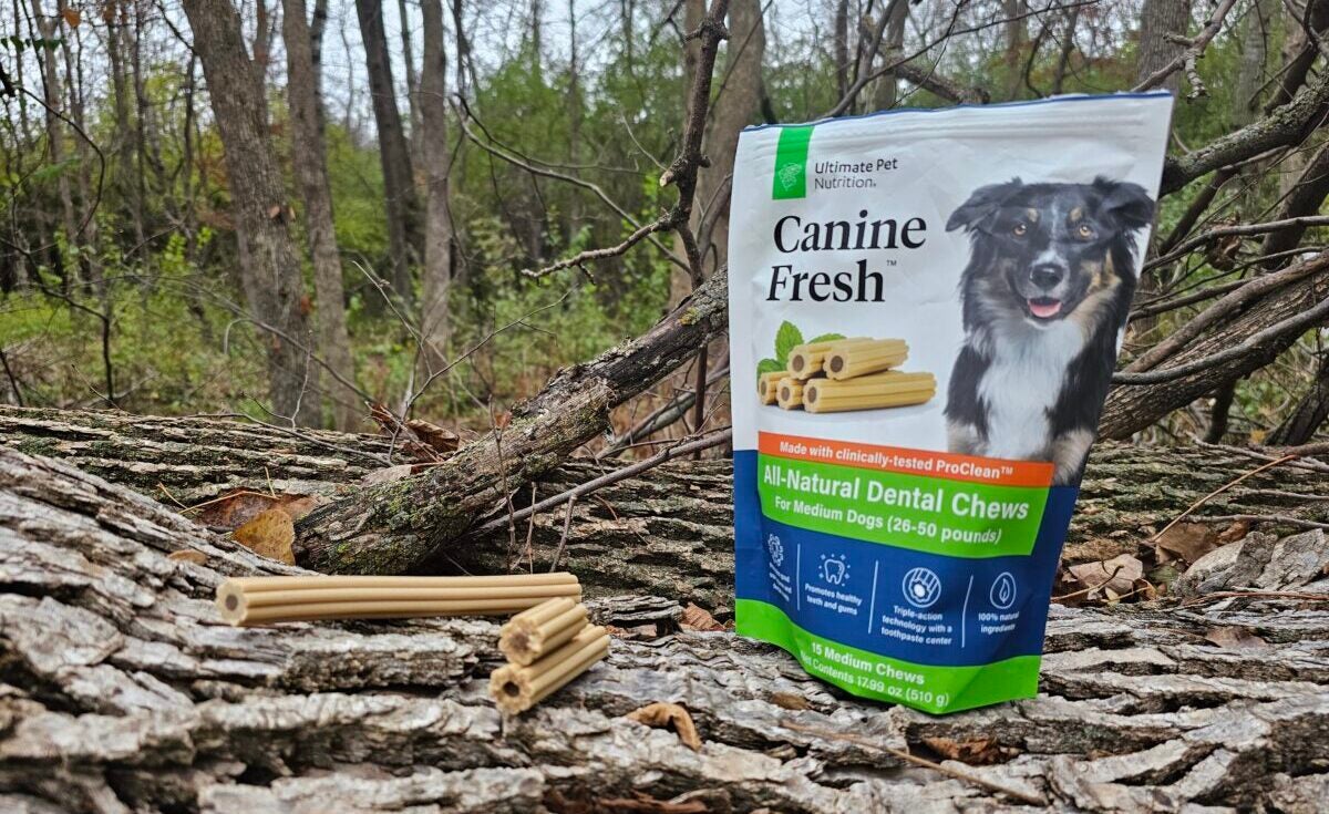 AO Review: Canine Fresh Dental Chews – Supporting Man’s Best Friend AO Review: Canine Fresh Dental Chews – Supporting Man’s Best Friend