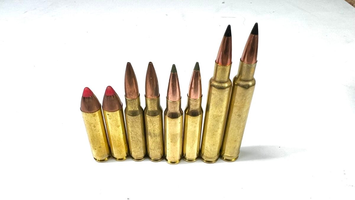 The Finest Cartridge for Searching Whitetail Deer: Winners & Losers