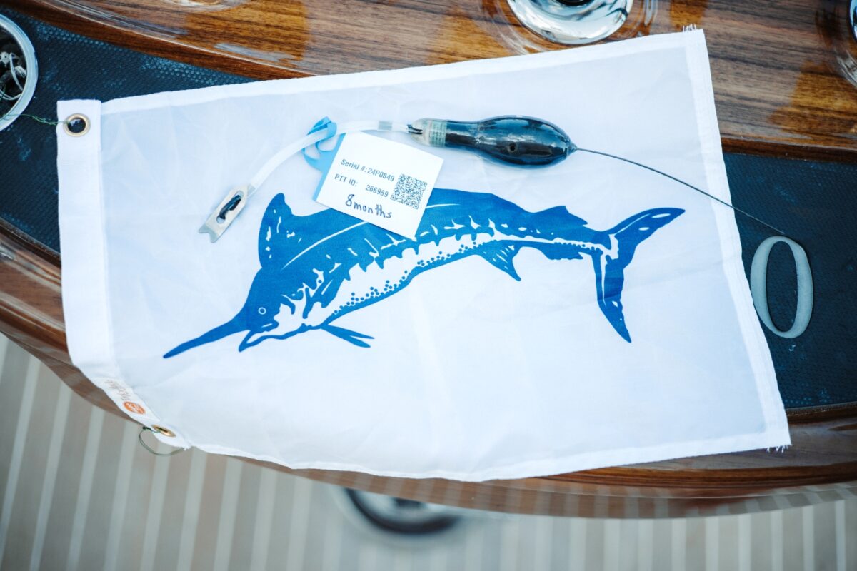 The Skillie Project – Largest White Marlin Satellite Tagging Mission The Skillie Project – Largest White Marlin Satellite Tagging Mission