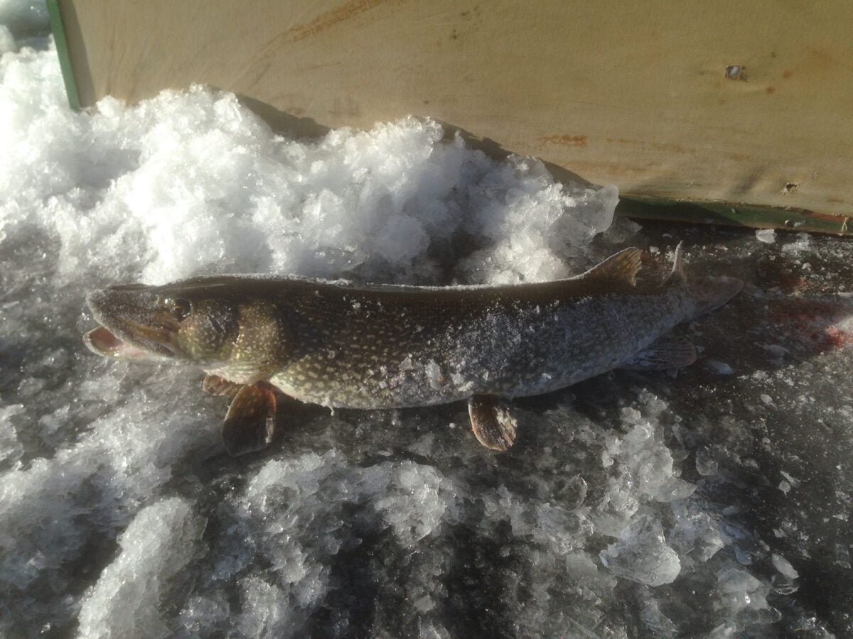 Ice Fishing for Beginners: A Complete Guide to Get Started