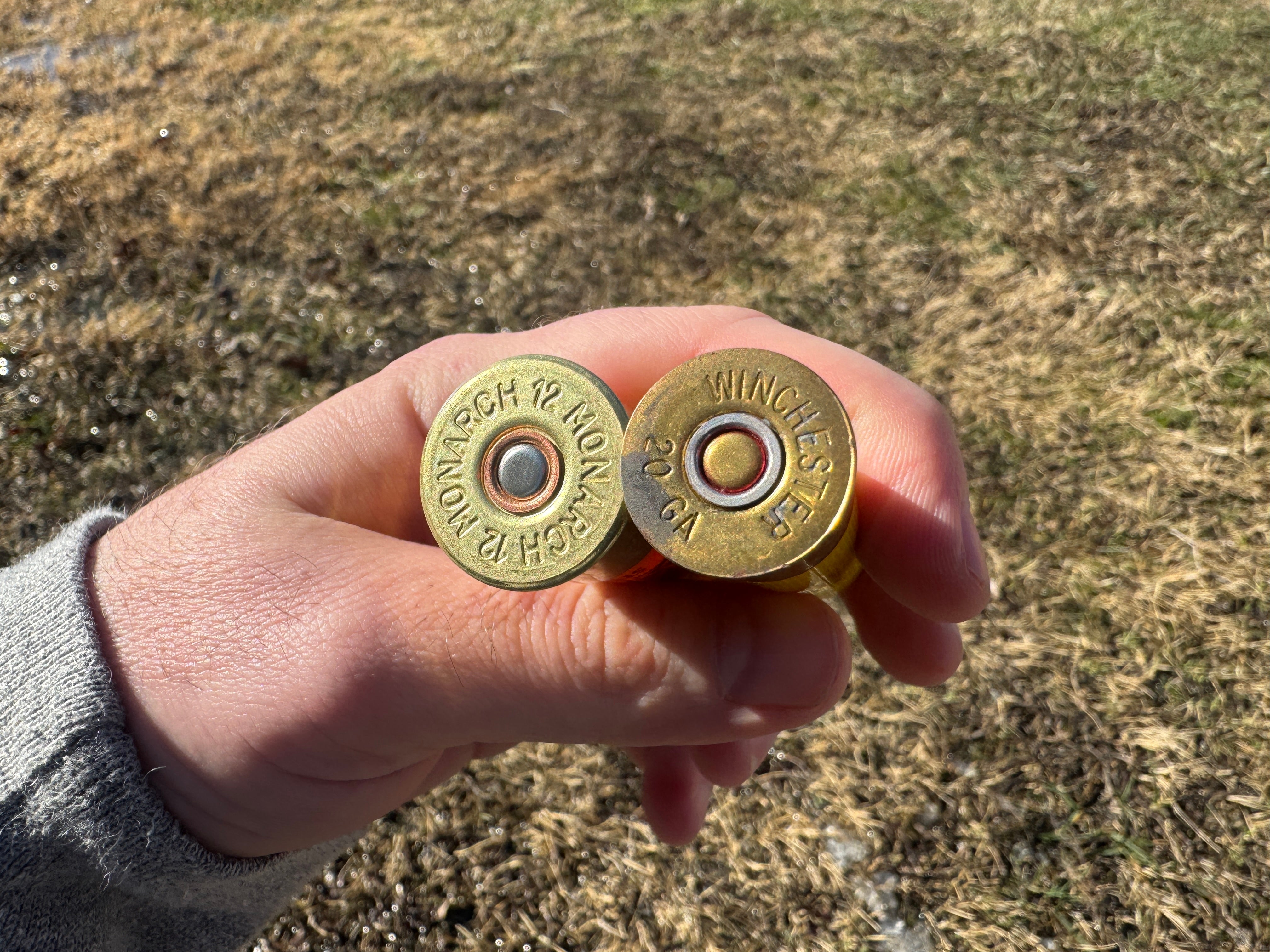 12 Gauge vs 20 Gauge: Which to Use for Duck & Goose Hunting?