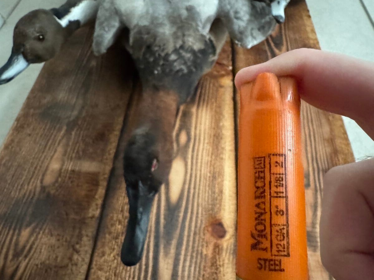 What is the Best Shot Size for Waterfowl Hunting? What is the Best Shot Size for Waterfowl Hunting?