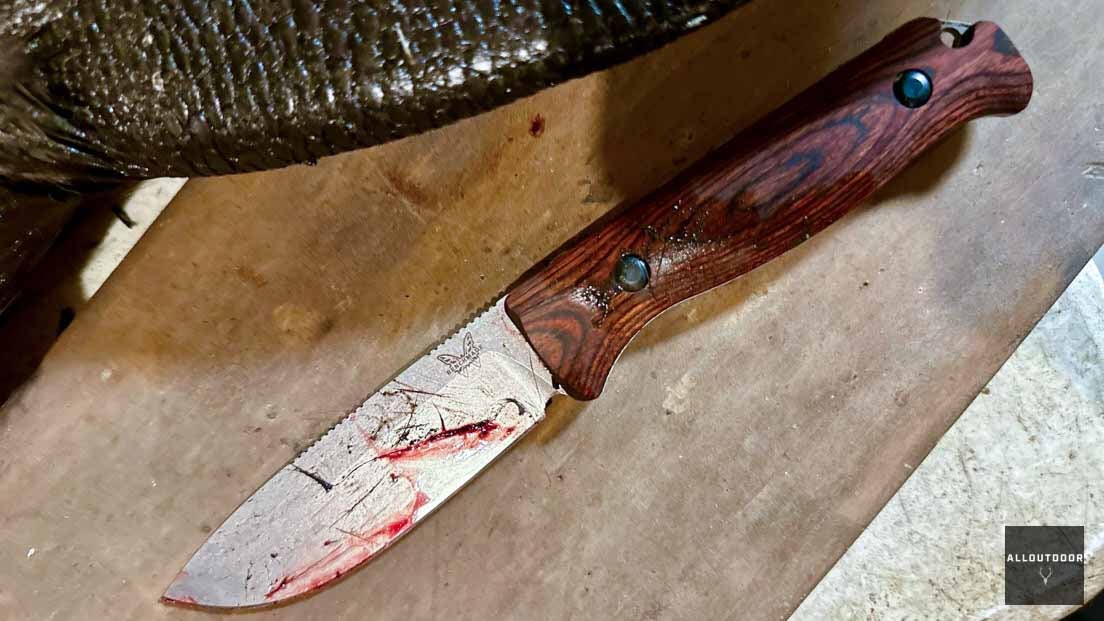 AllOutdoor Review - Benchmade Saddle Mountain Skinner