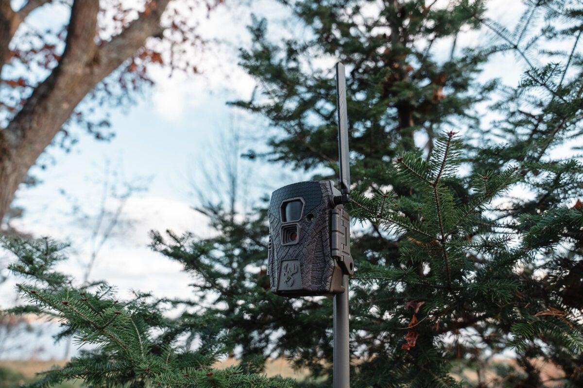 [SHOT 2025] Wildgame Innovations Terra XT 2.0 Cellular Trail Camera