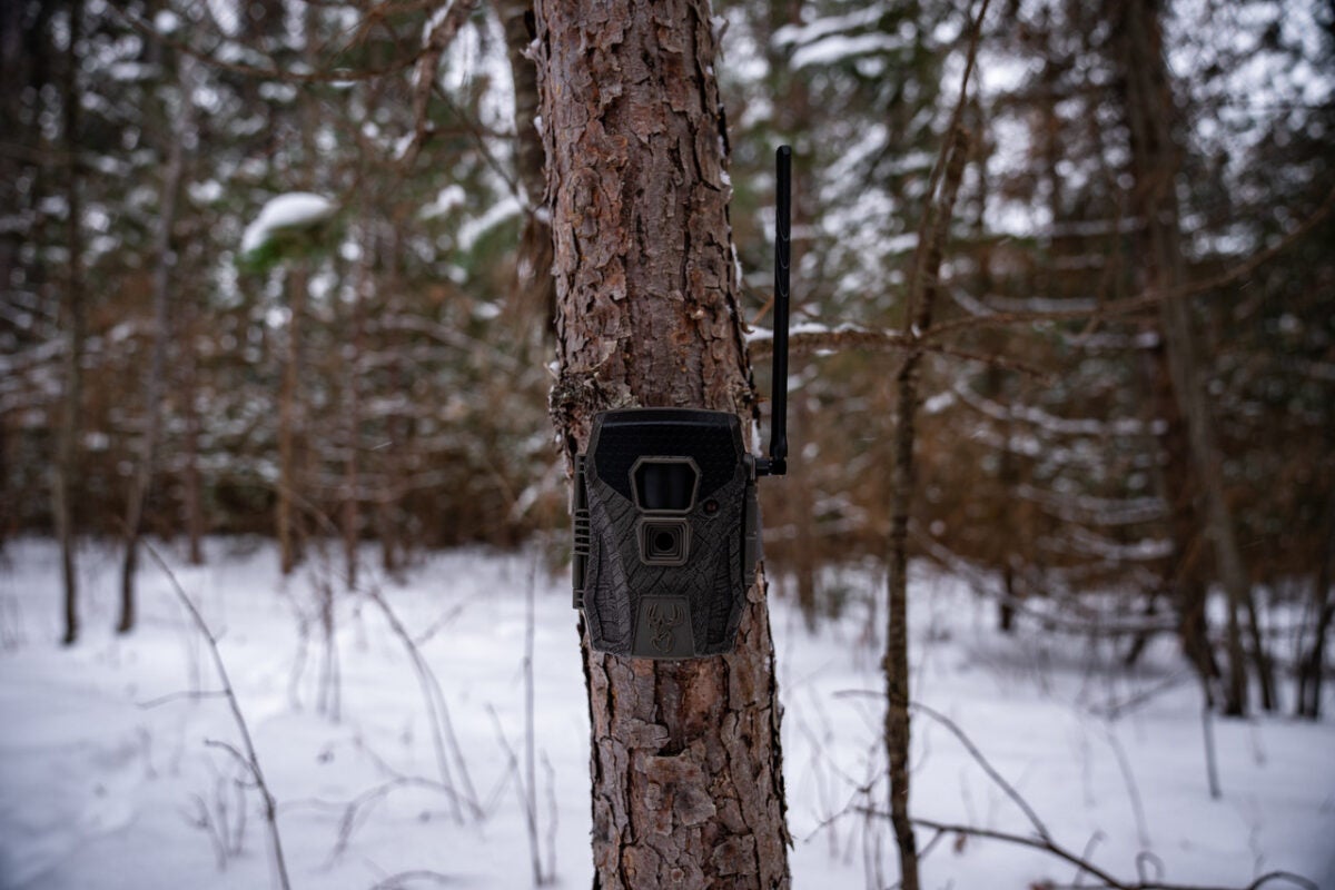 [SHOT 2025] Wildgame Innovations Terra XT 2.0 Cellular Trail Camera