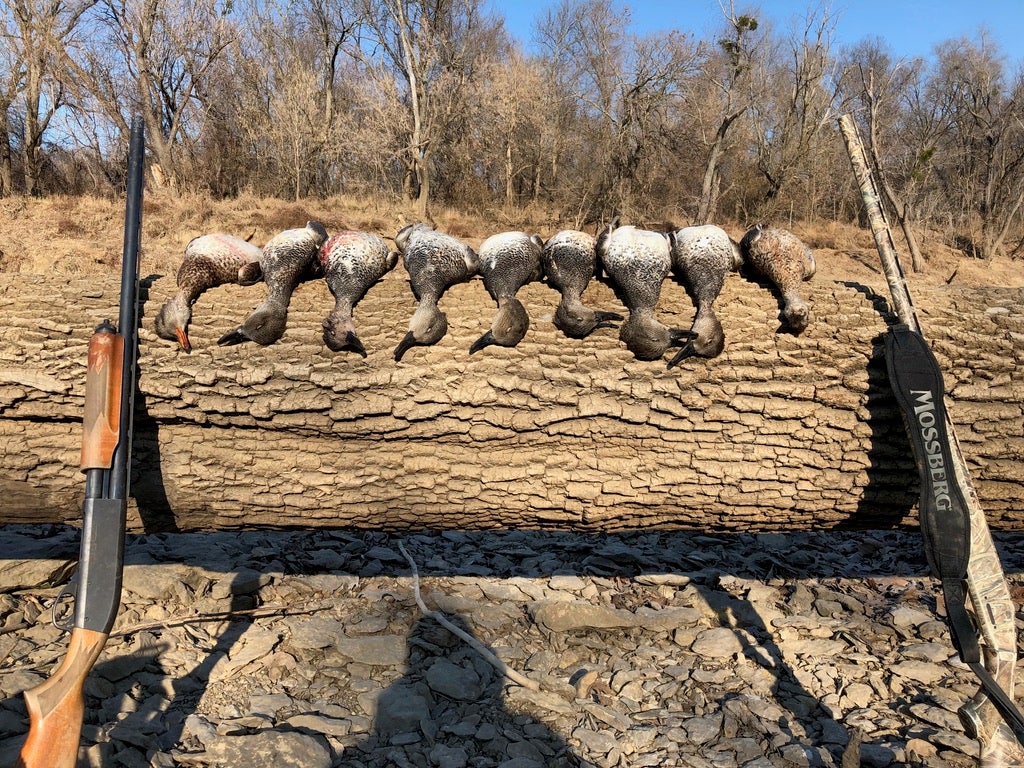 12 Gauge vs 20 Gauge: Which to Use for Duck & Goose Hunting?