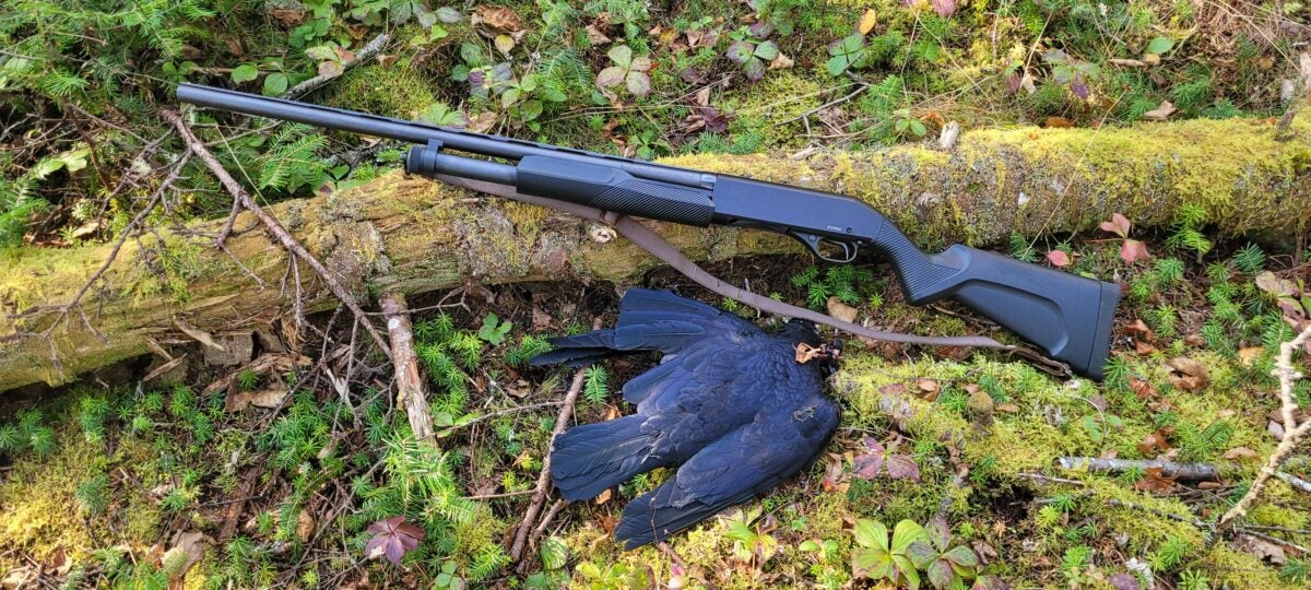 Why You Should Try Crow Hunting: After Duck Season, Go Crowbusting! Why You Should Try Crow Hunting: After Duck Season, Go Crowbusting!