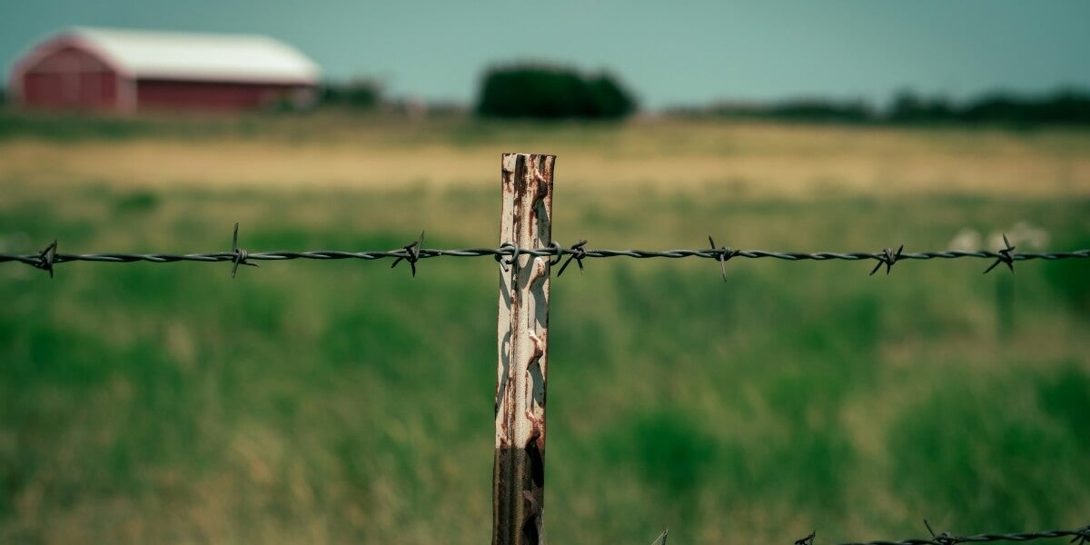 5 Resources to use Before you Build your First Homestead 5 Resources to use Before you Build your First Homestead