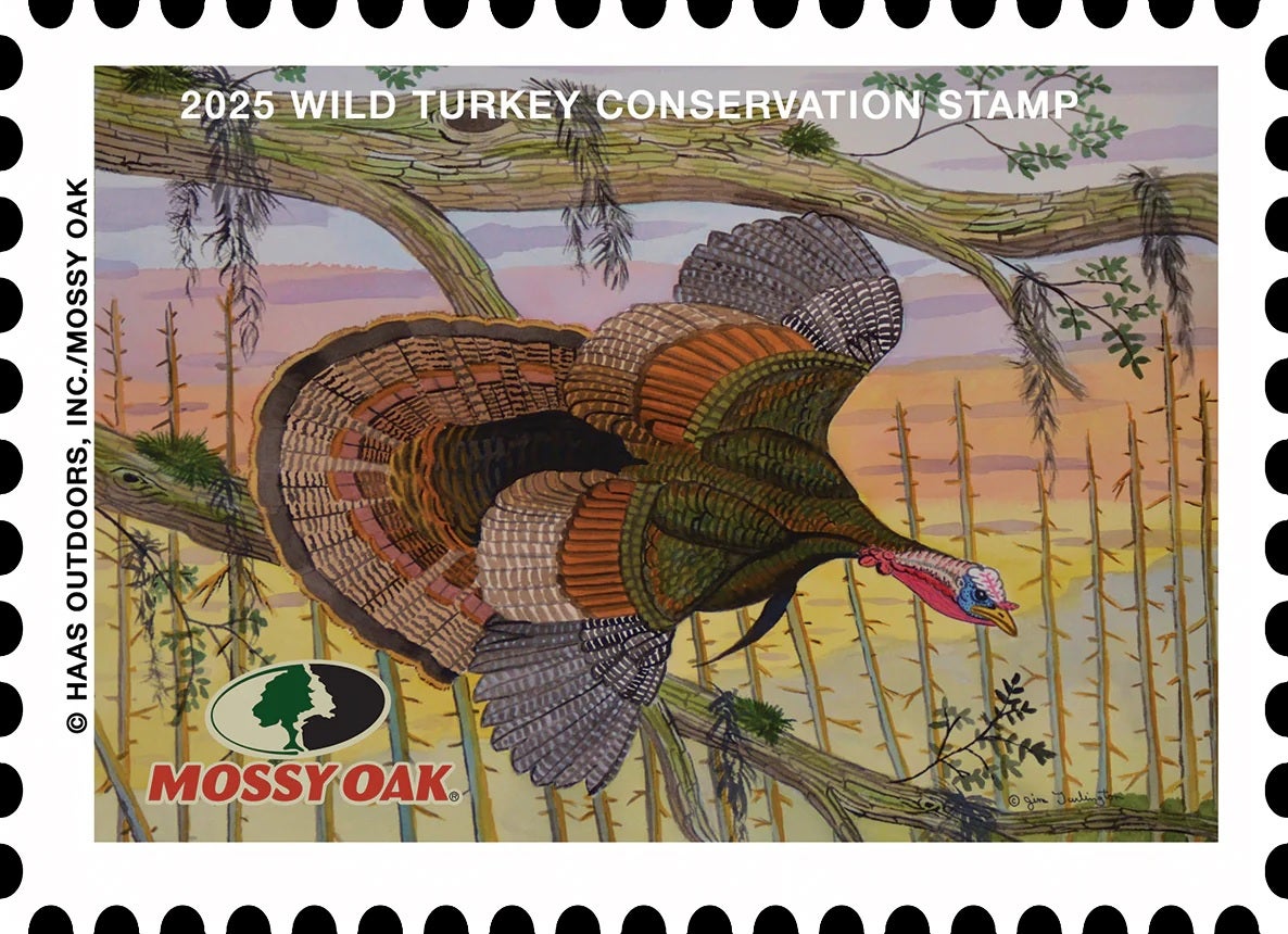 Mossy Oak Unveils their 2025 Wild Turkey Conservation Stamp Mossy Oak Unveils their 2025 Wild Turkey Conservation Stamp