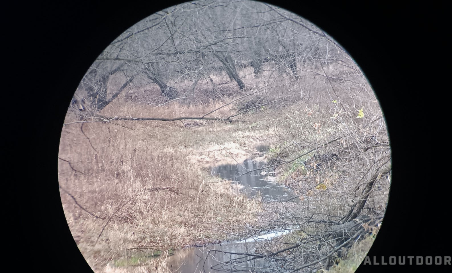 AllOutdoor Review - Winchester Supreme Rangefinder 6x20mm