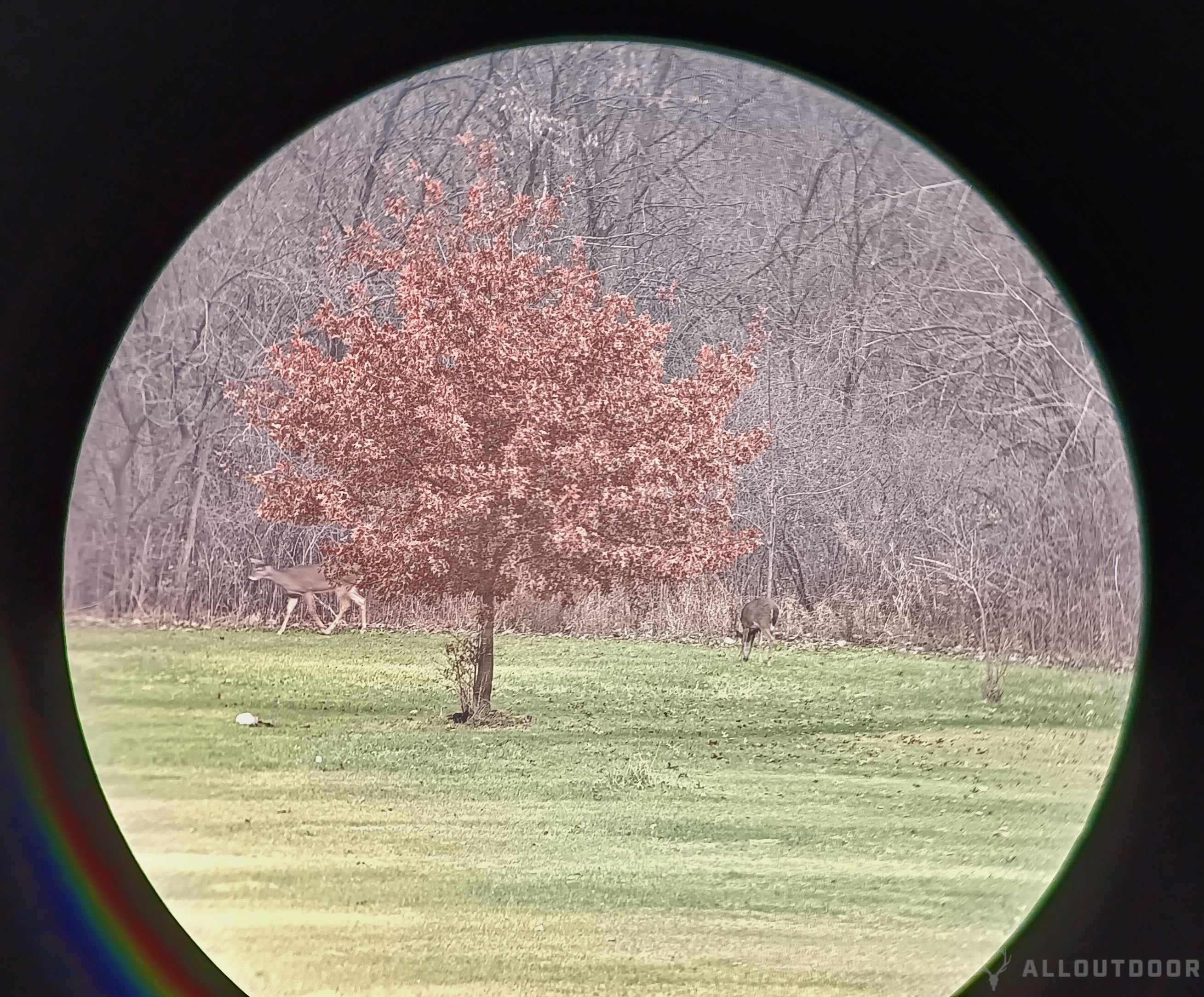AllOutdoor Review - Winchester Supreme Rangefinder 6x20mm