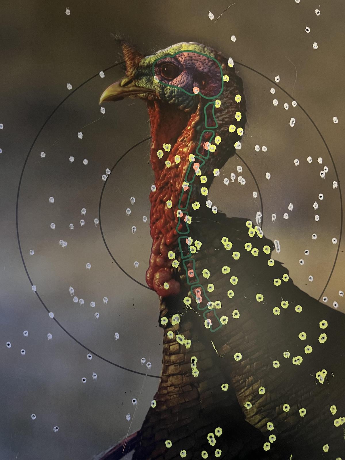 Selecting the Right Turkey Shotgun Shells for Spring Hunting