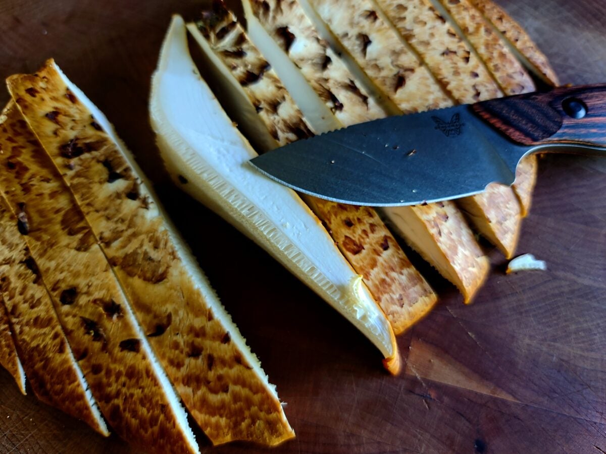 Foraging Mushrooms for your Homestead: 5 That Won’t Kill You!