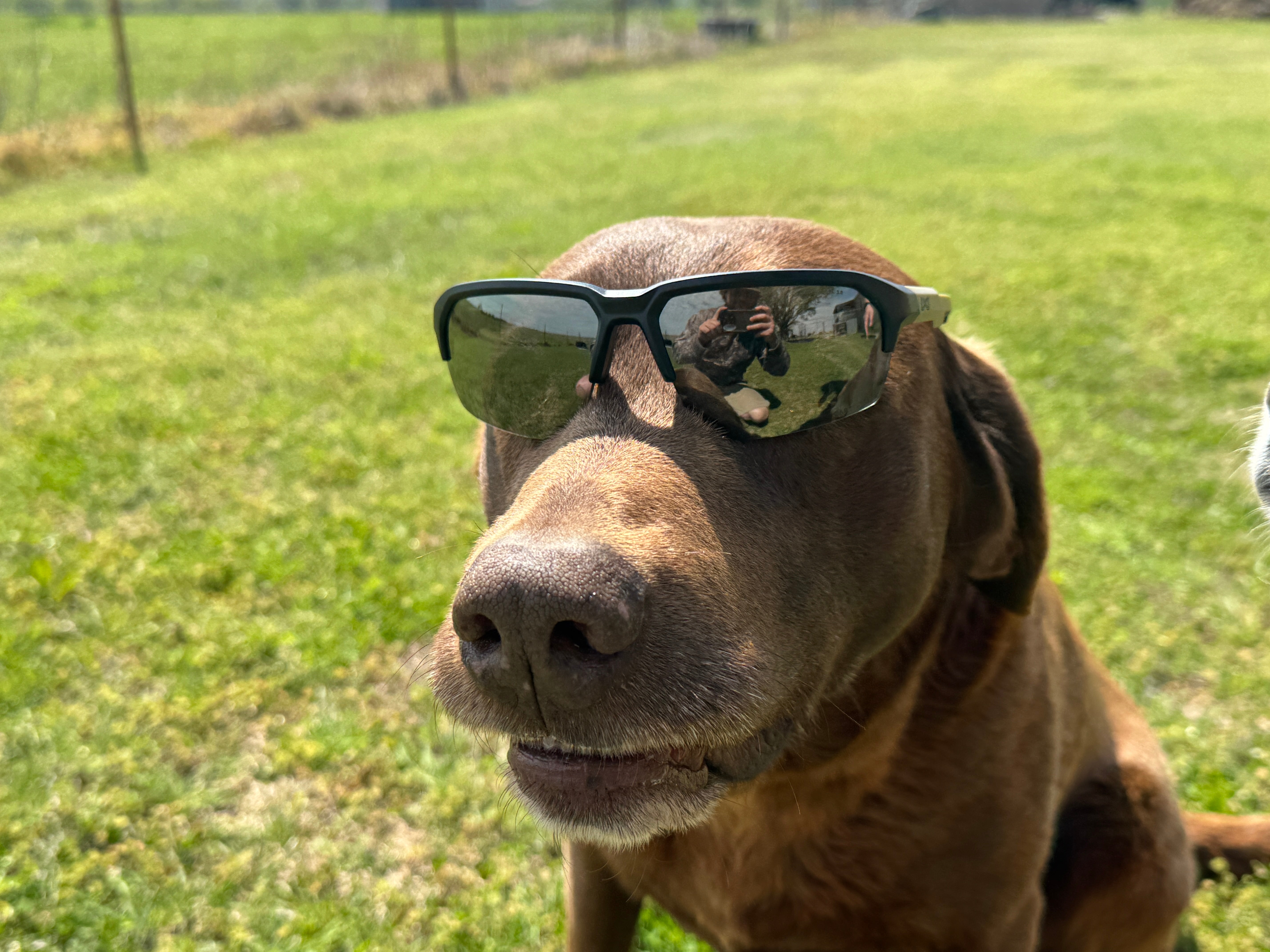 AO Review: Wiley X WX JAKL Shooting Glasses - My Personal Experience