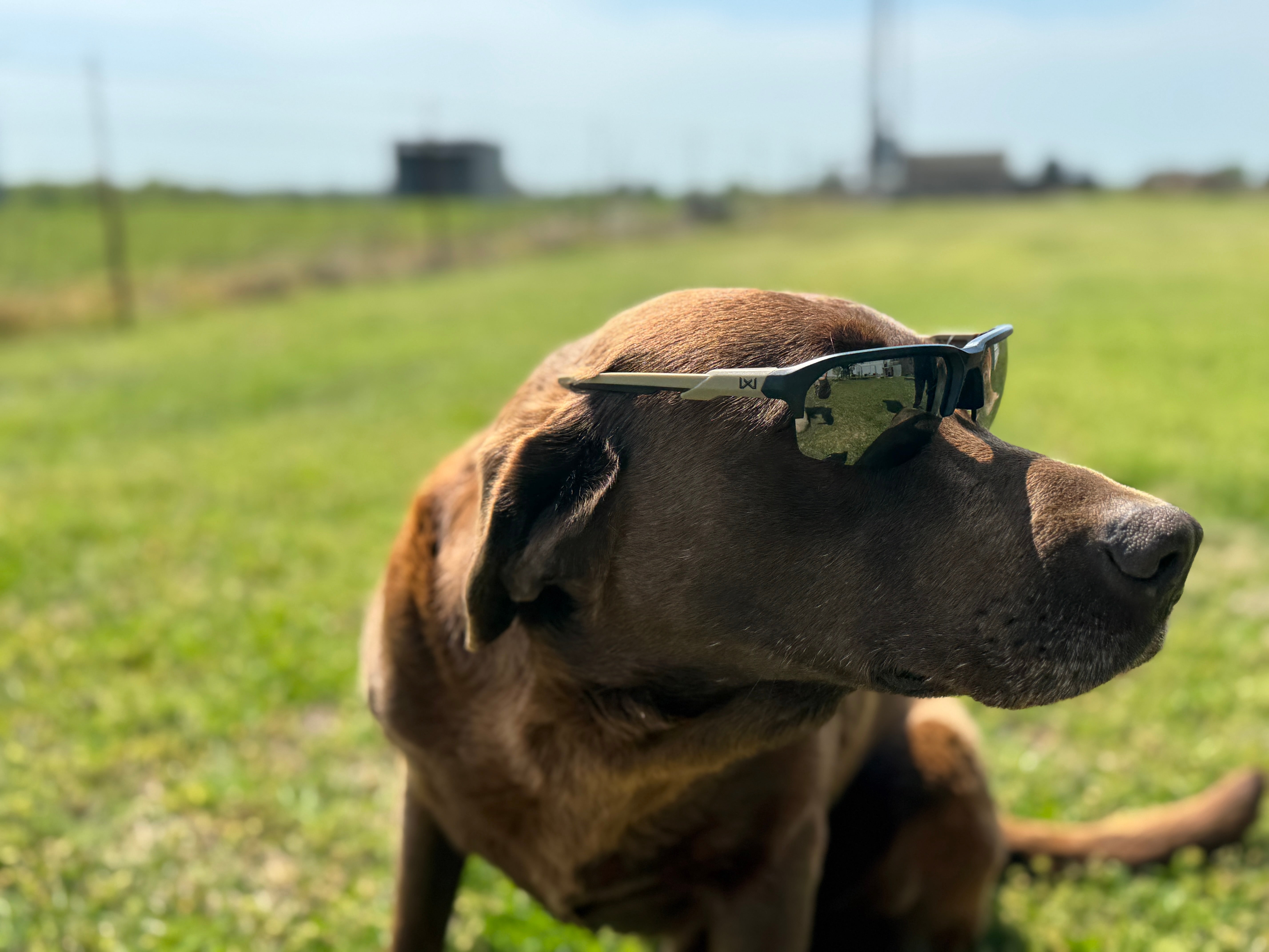 AO Review: Wiley X WX JAKL Shooting Glasses - My Personal Experience
