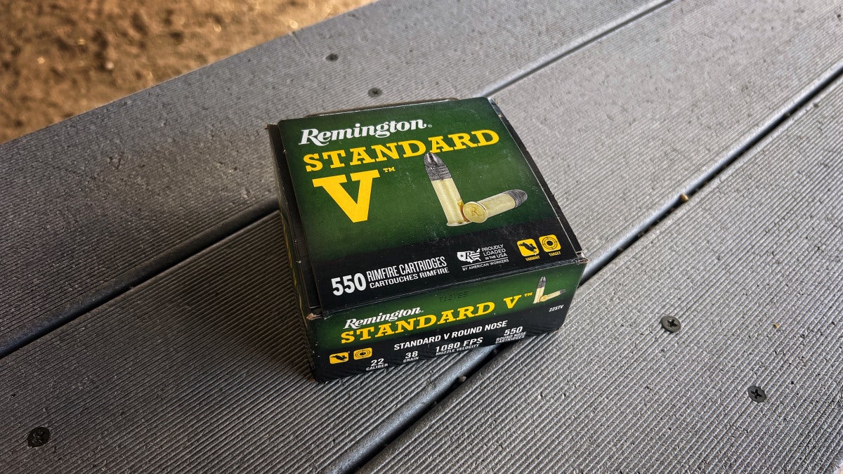 Standard V