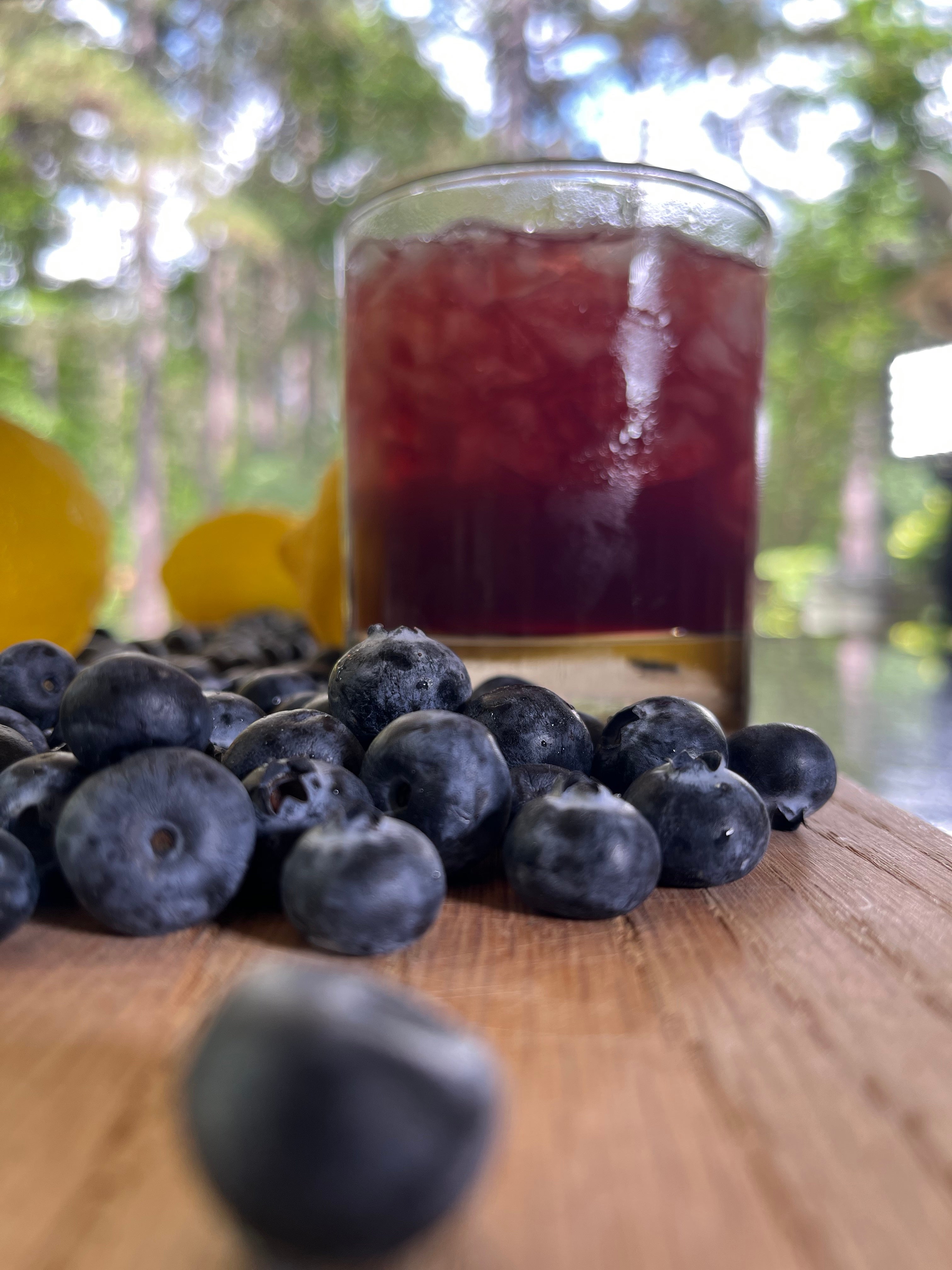 Homegrown Blueberries & Building the PERFECT Blueberry Vodka Smash