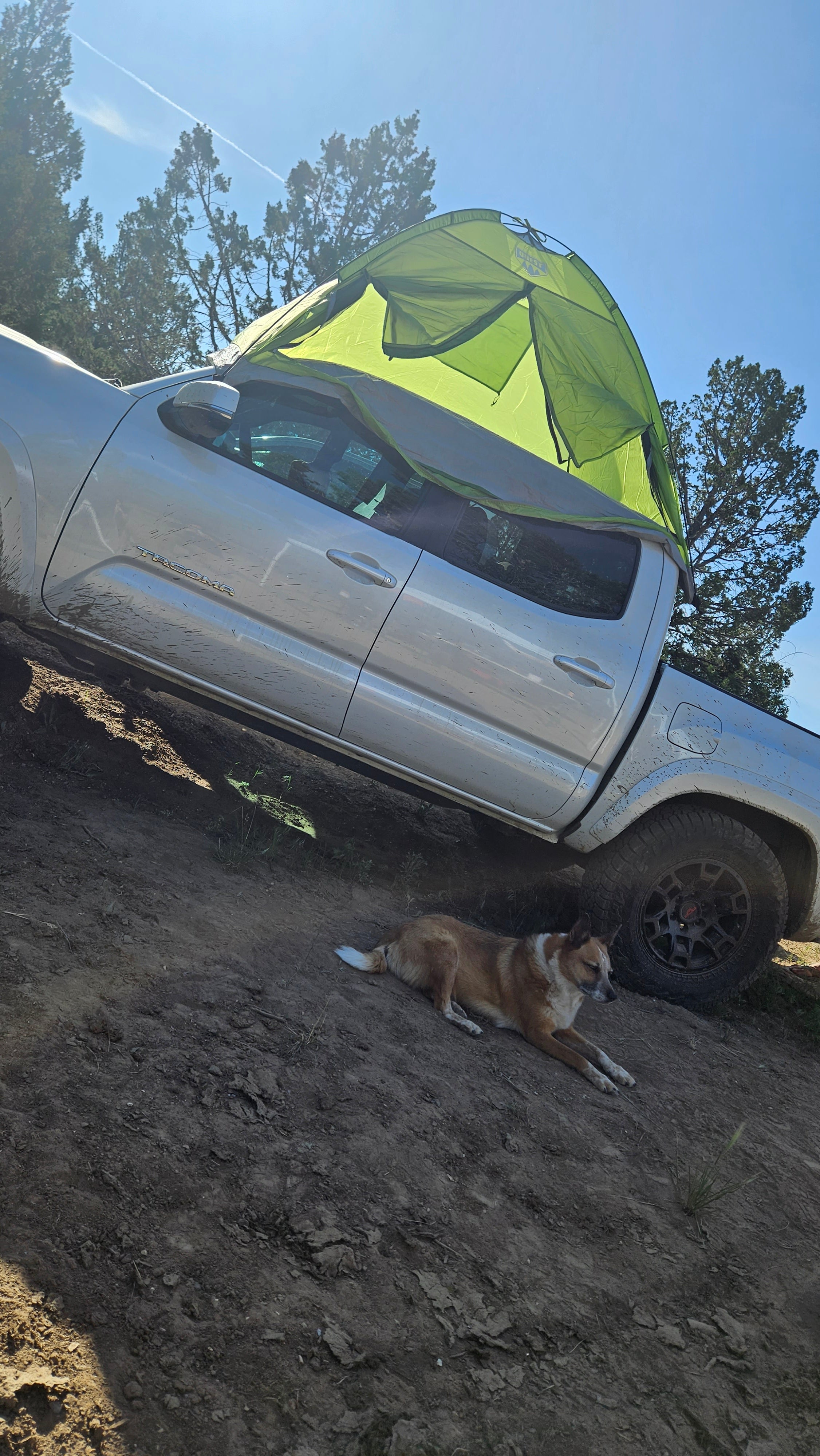 Simple Camping Hacks for a Better Weekend Getaway
