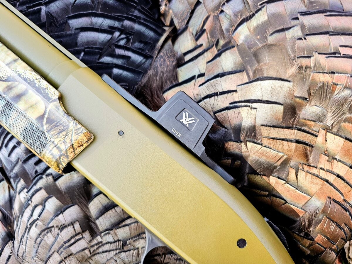AllOutdoor Review - Vortex Optics Viper Shotgun Enclosed Micro Red Dot