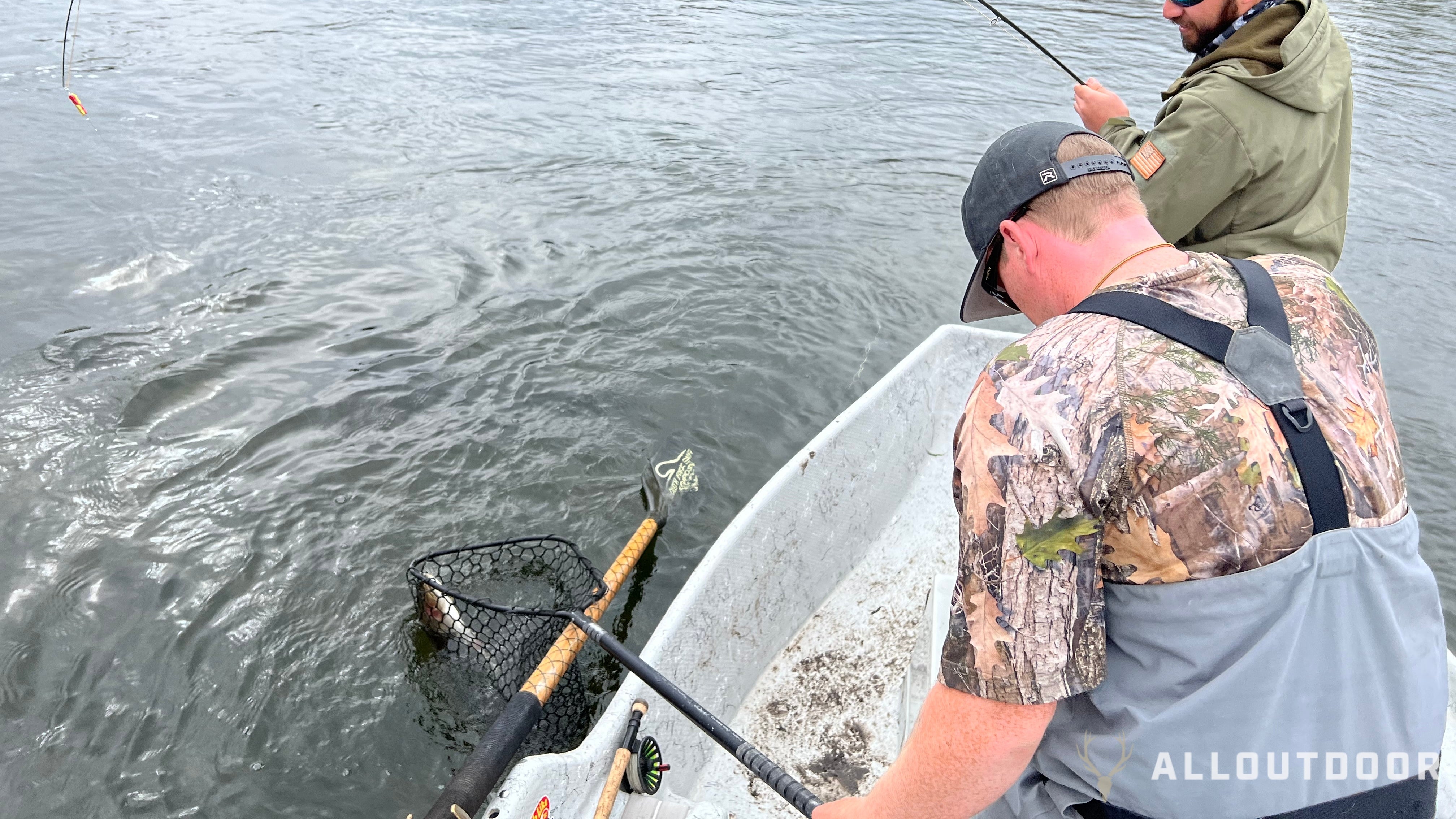 How to Catch Trout: A Beginner's Guide to Success